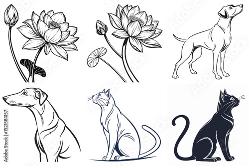 Artistic Harmony: Pet and Floral Sketches: A meticulously crafted collection of graphic illustrations, blending nature's grace with the charm of domestic companions. A study in black and white.
