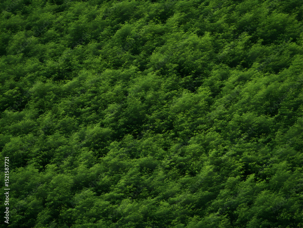 Lush Green Foliage 3D Background Lush Green Foliage 3D Background