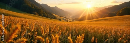 Golden sunlight bathes a lush valley floor, overflowing with ripe crops ready for harvest Abundant nature, bountiful harvest, autumnal tones prevail , wheat, abundant