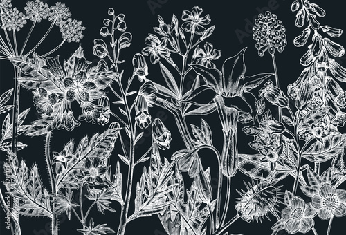 Witch herbs banner. Vintage background. Poisonous plants vector design on chalkboard. NOT AI generated