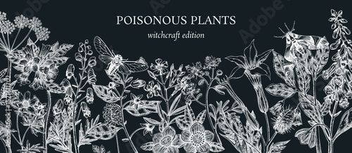 Witch herbs border. Vintage background. Poisonous plants vector design. NOT AI generated