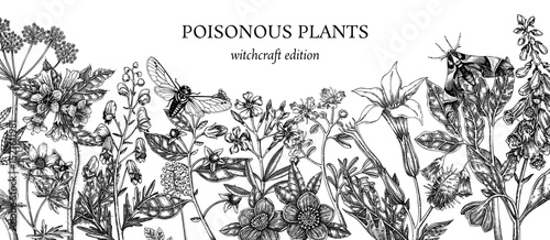 Witch herbs border. Vintage background. Poisonous plants vector design. NOT AI generated