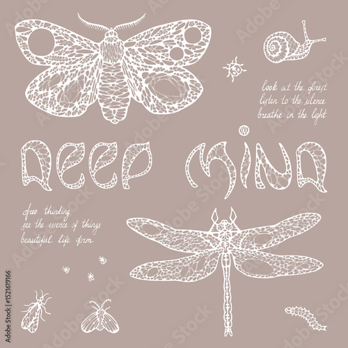 Hand drawn mystical insects with text Deep Mind on brown background, symbolic line art with quotes and sketches..