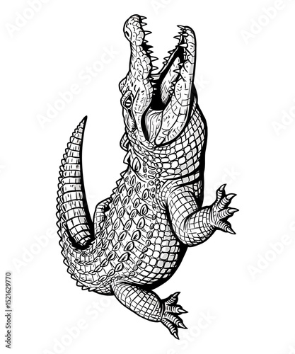 A ferocious crocodile rearing up, mouth agape, detailed in a vintage woodcut style illustration