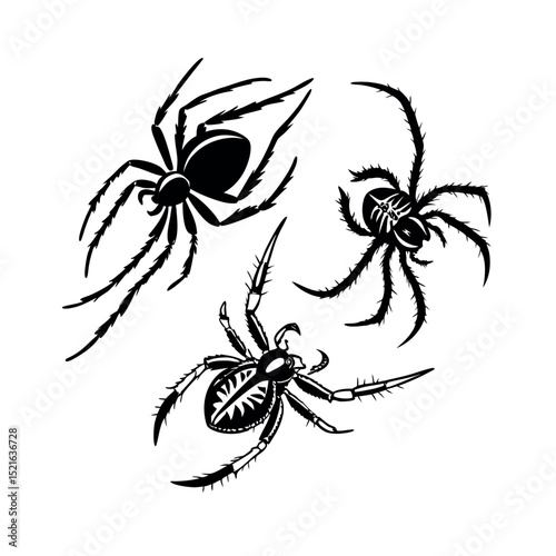 Stylized black spider illustration set