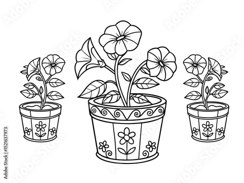 Outline drawing of blooming petunias in decorative pots