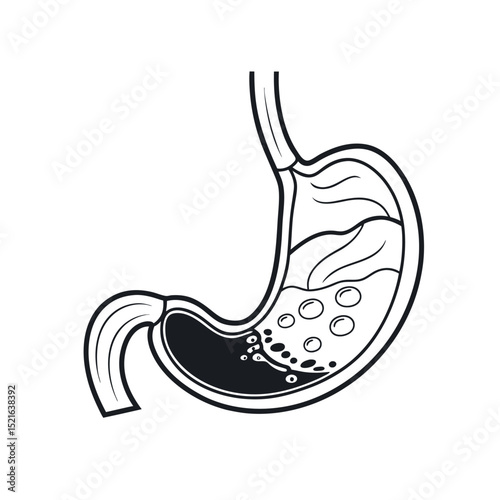 Detailed black and white vector of human stomach anatomy, ideal for medical illustrations, health infographics, digestion education, or science presentations.