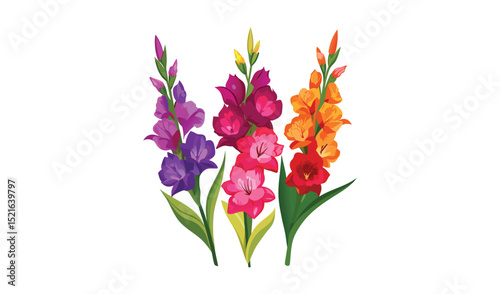 Adobe Illustrator Artwork