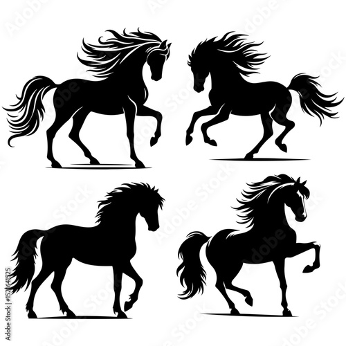 Four horses vector silhouettes