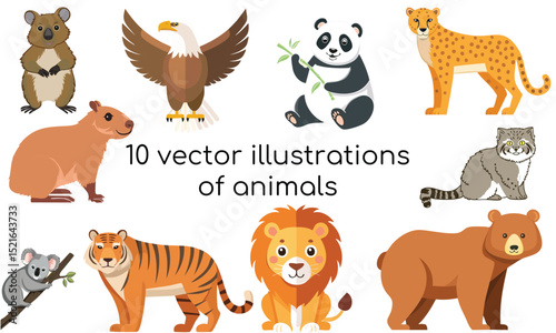 set of cute animals vector illustration