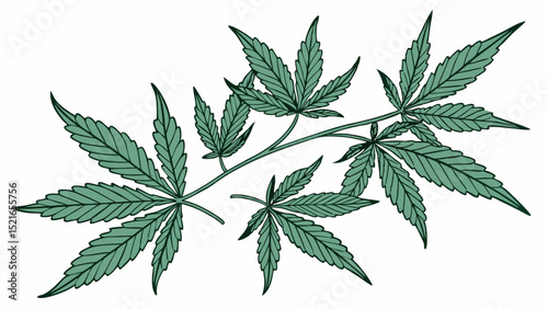 Stylized green cannabis leaves on a branch illustration with transparency for versatile designs