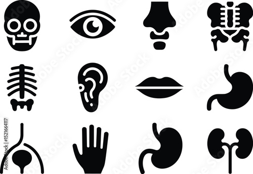 A collection of twelve black silhouette icons representing various human body parts and organ systems