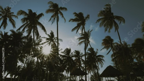 Gimbal tracking shot from Paje Beach, Zanzibar, of palm trees lining the beach silhouetted against the sky.