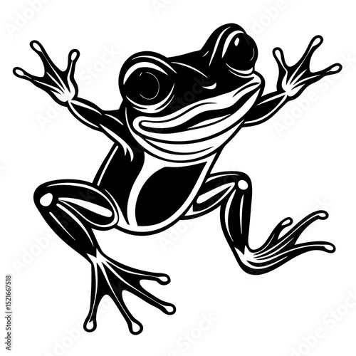 frog on a leaf