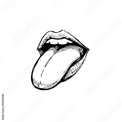 Mouth with tongue sticking out. Detailed hand-drawn illustration of human mouth and tongue.  High-quality sketch suitable for dental brochures, educational materials, or oral hygiene campaigns.