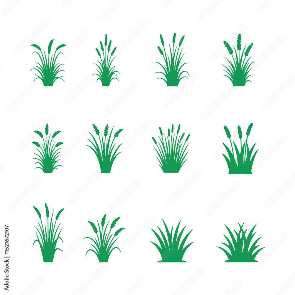 Fototapeta premium Green Grass Plants Illustrations Set