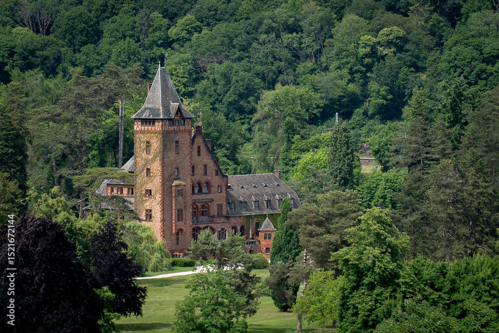 Fototapeta premium old castle in nature