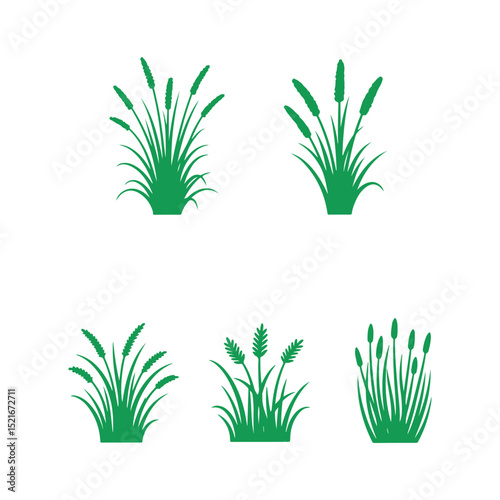 Green silhouettes of various grasses and reeds for  vector icons set design illustrations