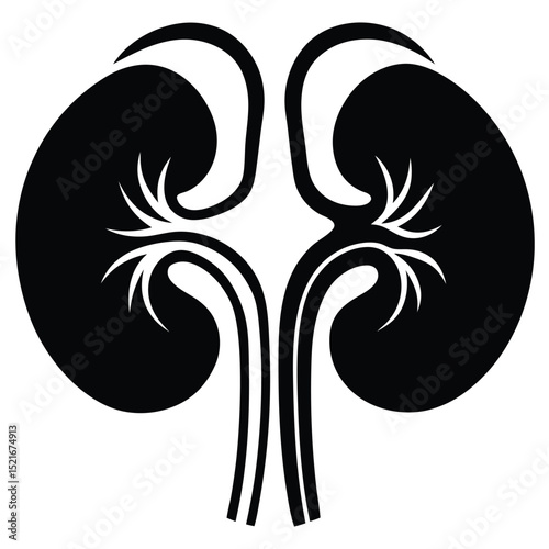 A black and white Kidney silhouette Vector Design art illustration