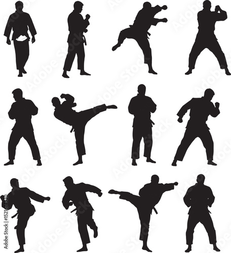  Judo sports silhouette art white color background