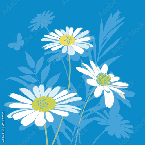Marguerites sur fond bleu, carte de voeux avec une illustration vecteur de marguerites, de fleurs et de feuilles, fleurs des champs, prairie