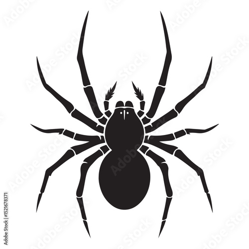 Spider Vector Illustration
