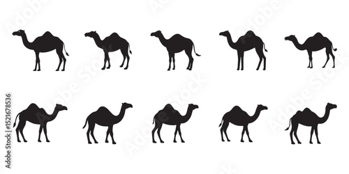 Black Silhouette Camel Graphics Collection Including Dromedary and Bactrian Camel Variants for Design Use