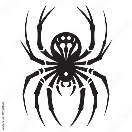 Spider Vector Illustration
