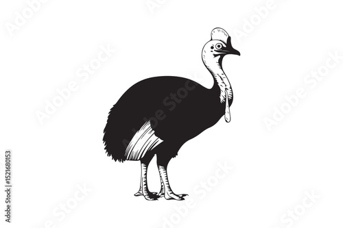 Cassowary Bird Silhouette Vector Exotic Flightless Animal Illustration