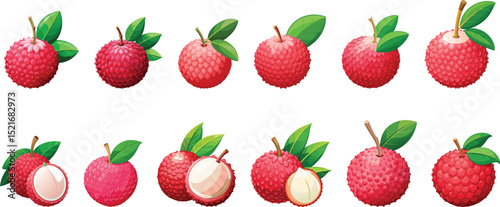 Lychee fruit logo design set vector illustration