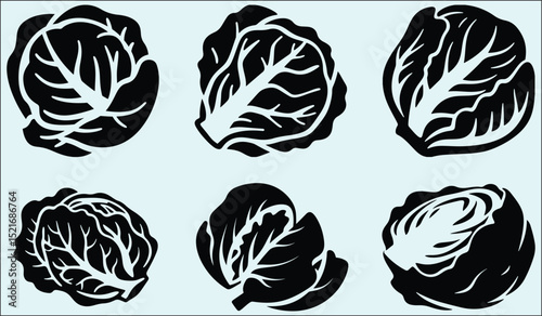 Silhouette of a Vegetable Bruessle Sarout Style