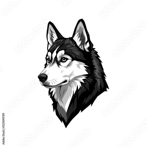 Majestic Husky Profile A Striking Monochrome Portrait