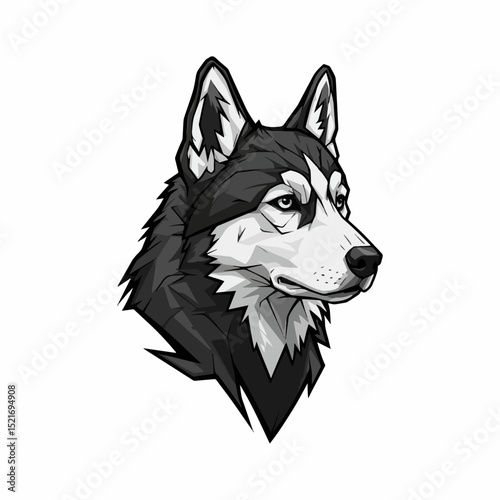A Striking Monochrome Portrait
