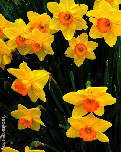 First Signs of Spring in Nature
