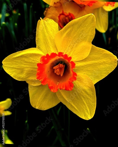 First Signs of Spring in Nature
