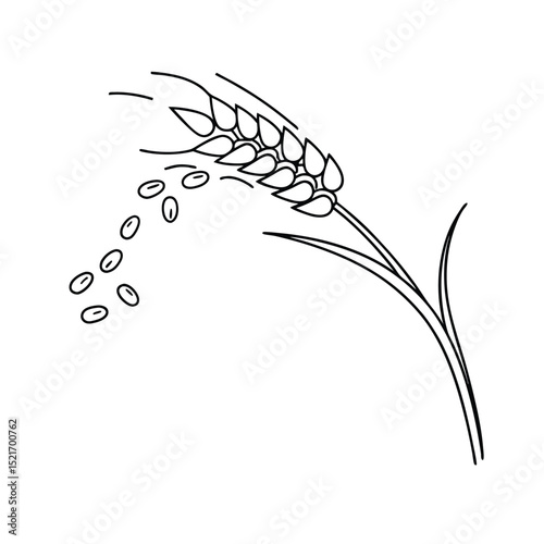 Minimalist linear illustration of wheat ear with falling grains on a white background