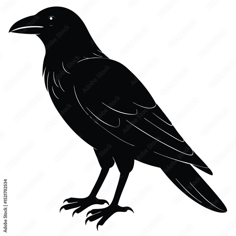 Fototapeta premium Striking Raven Silhouette Detailed Art of a Bold, Black Bird Illustration