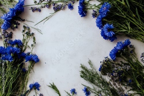 Blue Flowers Arranged on a Light Surface for a Natural and Fresh Decoration