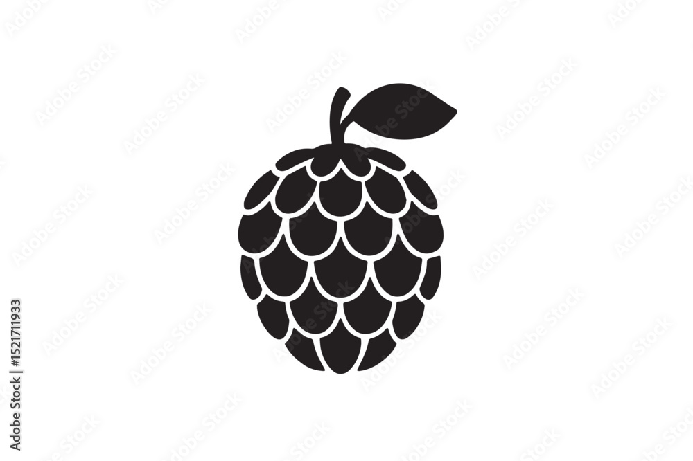 Cherimoya silhouette on white background.01 Cherimoya silhouette on white background.01