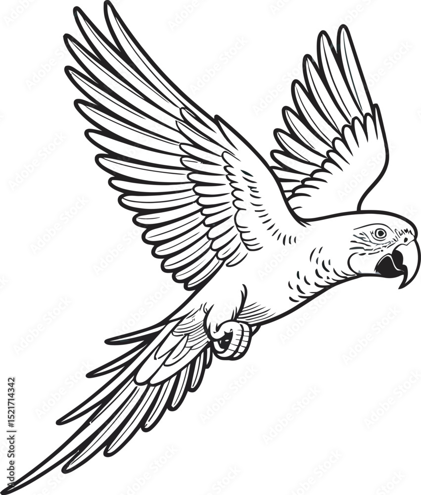 Obraz premium A detailed black and white illustration of a flying parrot depicting its wings and head perfectly