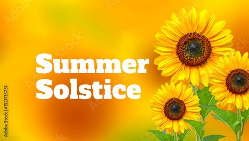 Banner with beautiful sunflower field and text SUMMER SOLSTICE.