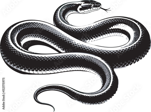Illustrative black and white vector illustration of a coiled snake with detailed scales and a forked tongue