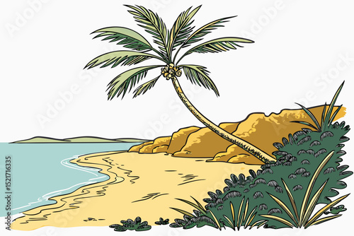tropical beach with palm trees