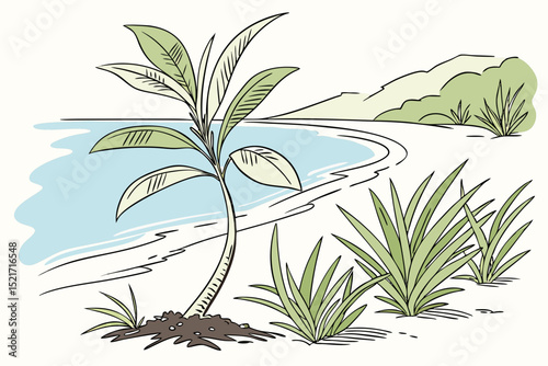 palm tree in the desert