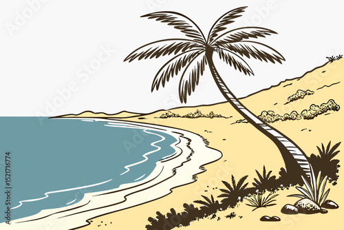 palm tree on the beach