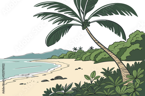 palm trees on the beach