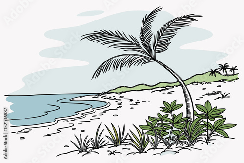 tropical island with palms