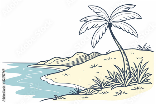 palm tree on the beach
