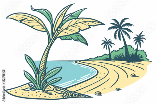 palm trees and palms