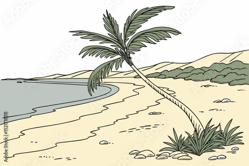 palm trees on the beach